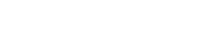 Diseño web Anubis Solutions